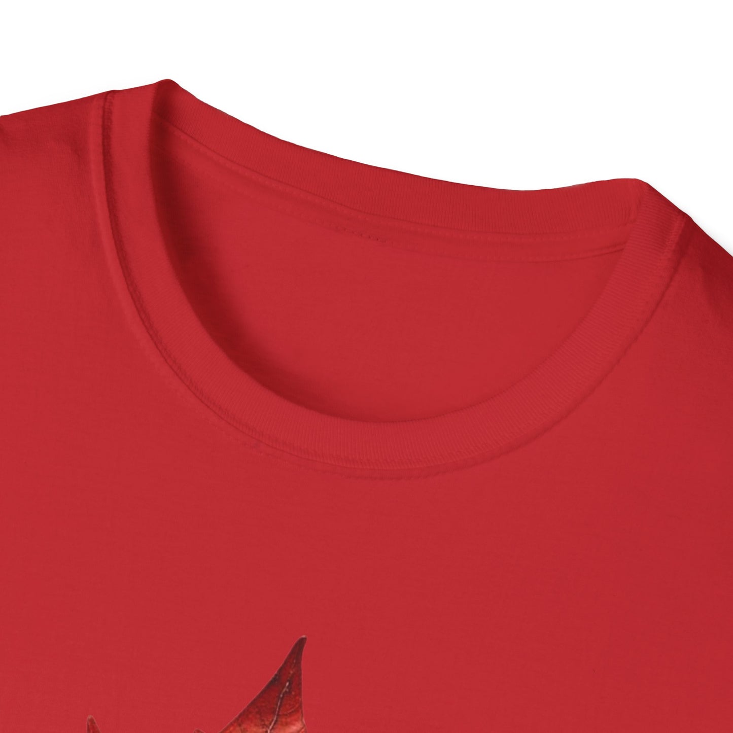 Funny Graphic Tee: USA Annexing Canada Design