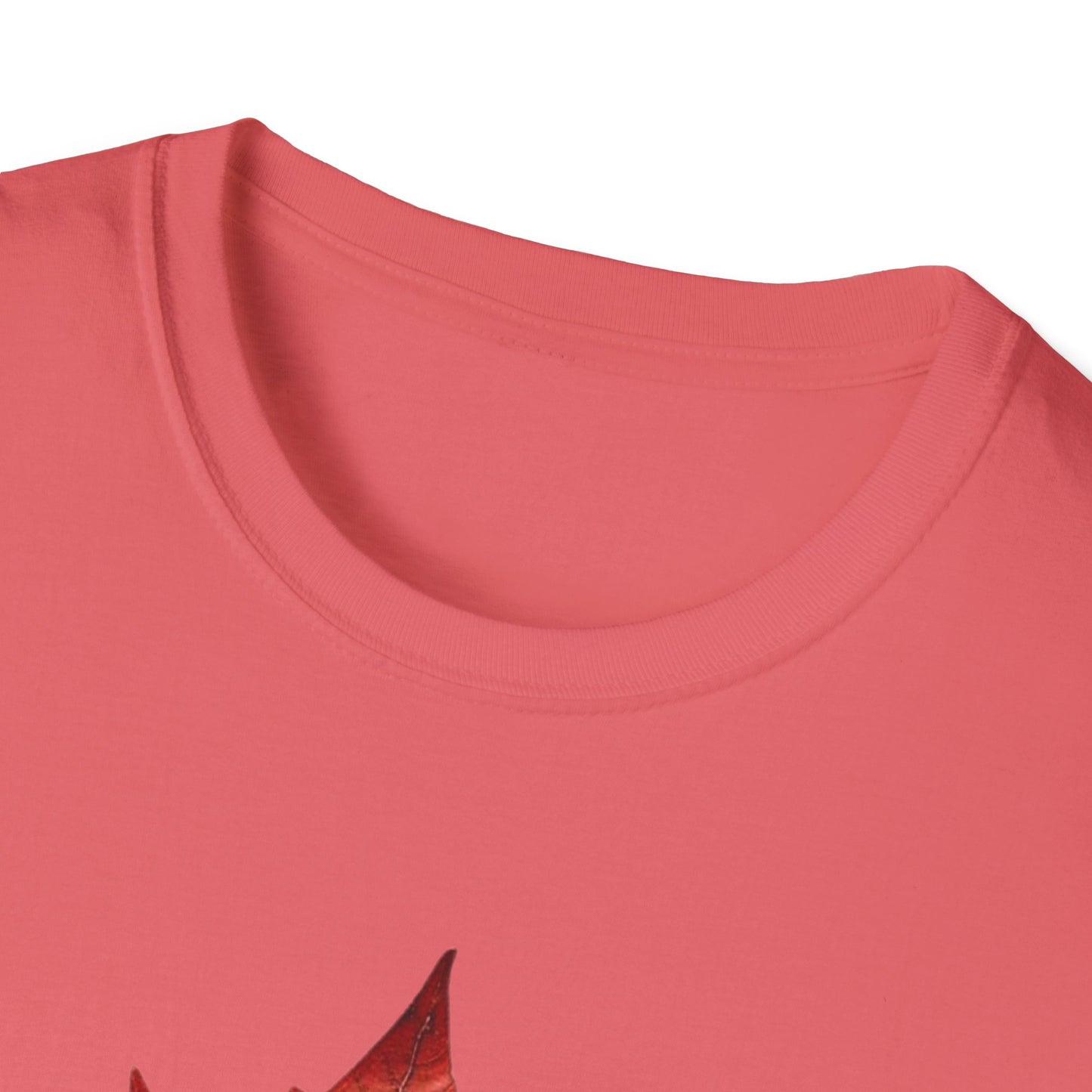 Funny Graphic Tee: USA Annexing Canada Design
