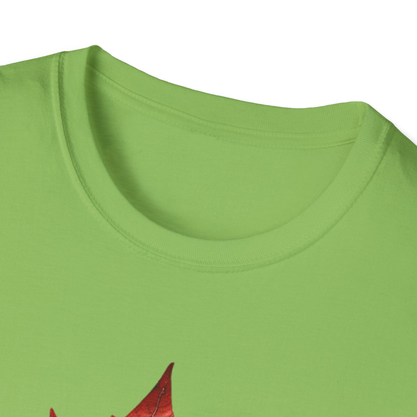 Funny Graphic Tee: USA Annexing Canada Design